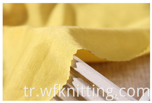 Polyester Single Jersey Fabric